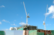 Photo of a Crane